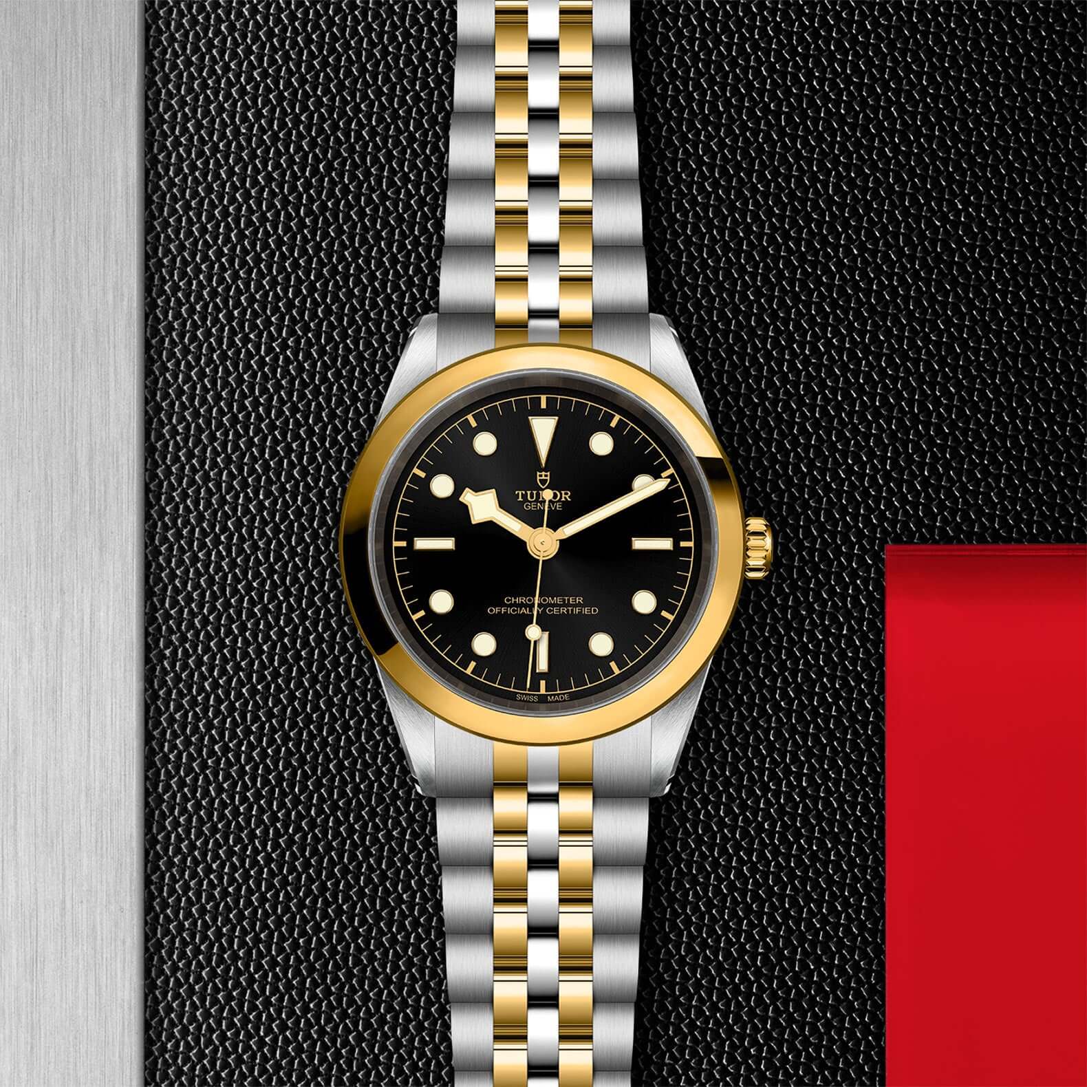 Tudor Black Bay 41 S&G【1:1 Replica】