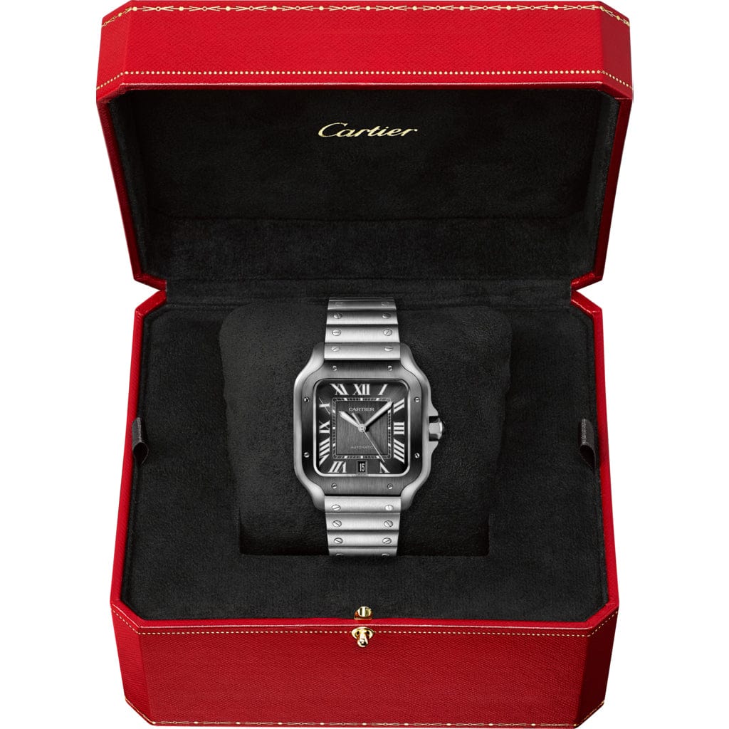 Santos de Cartier Watch LM WSSA0037【1:1 Replica】