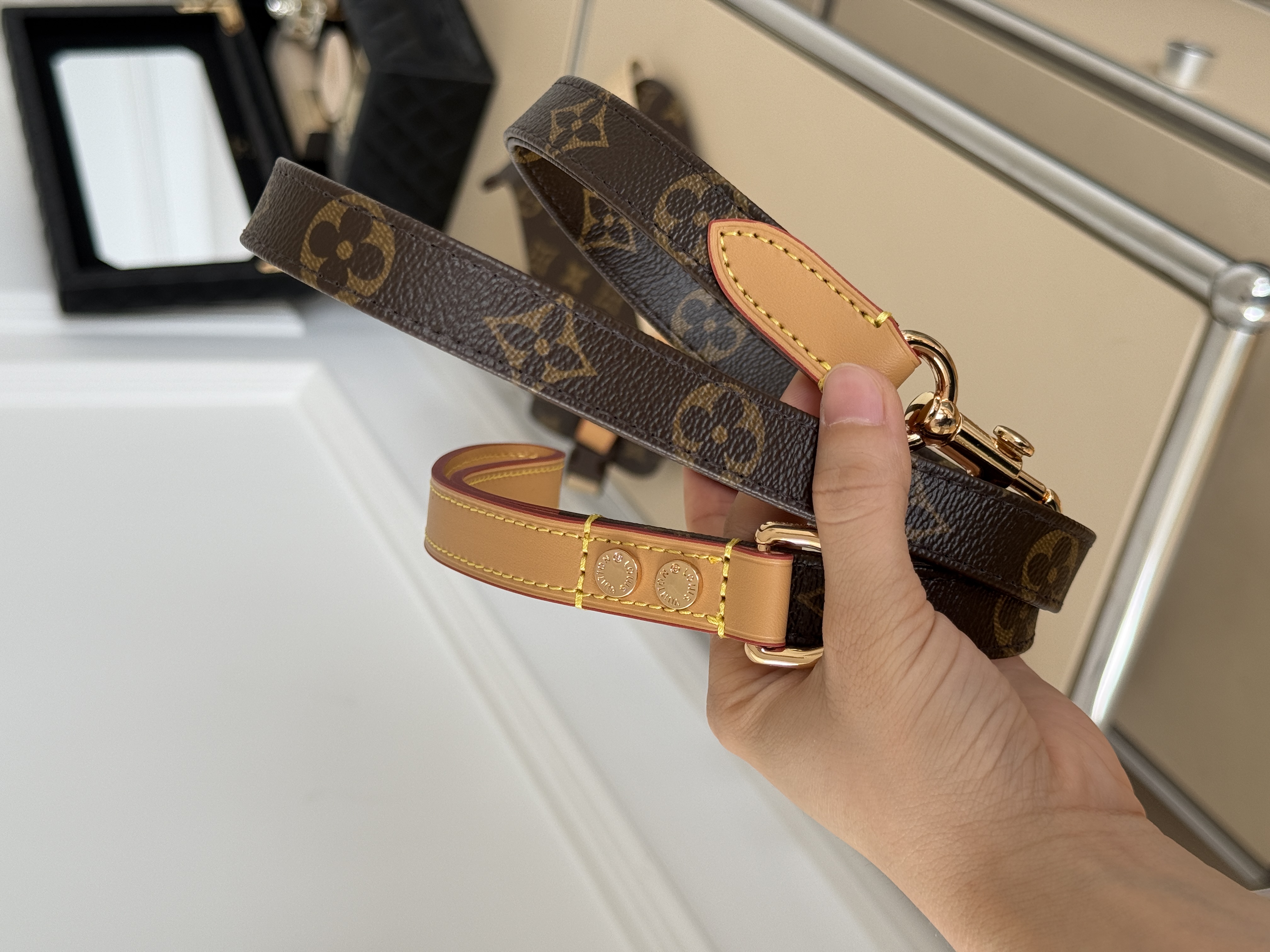 Louis Vuitton（LV）Arnés PM/MM