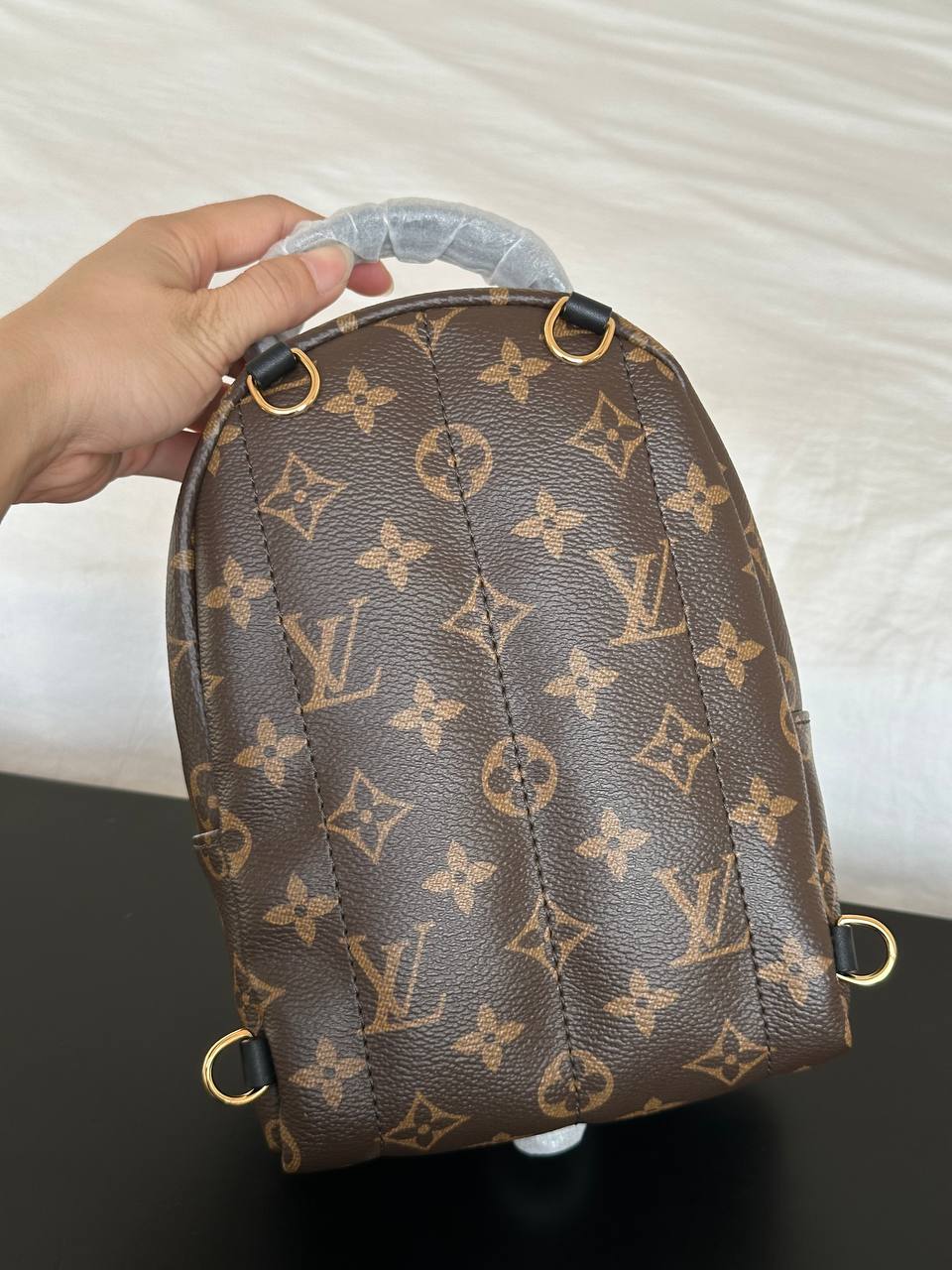 Louis Vuitton Monogram Mini Palm Springs Backpack