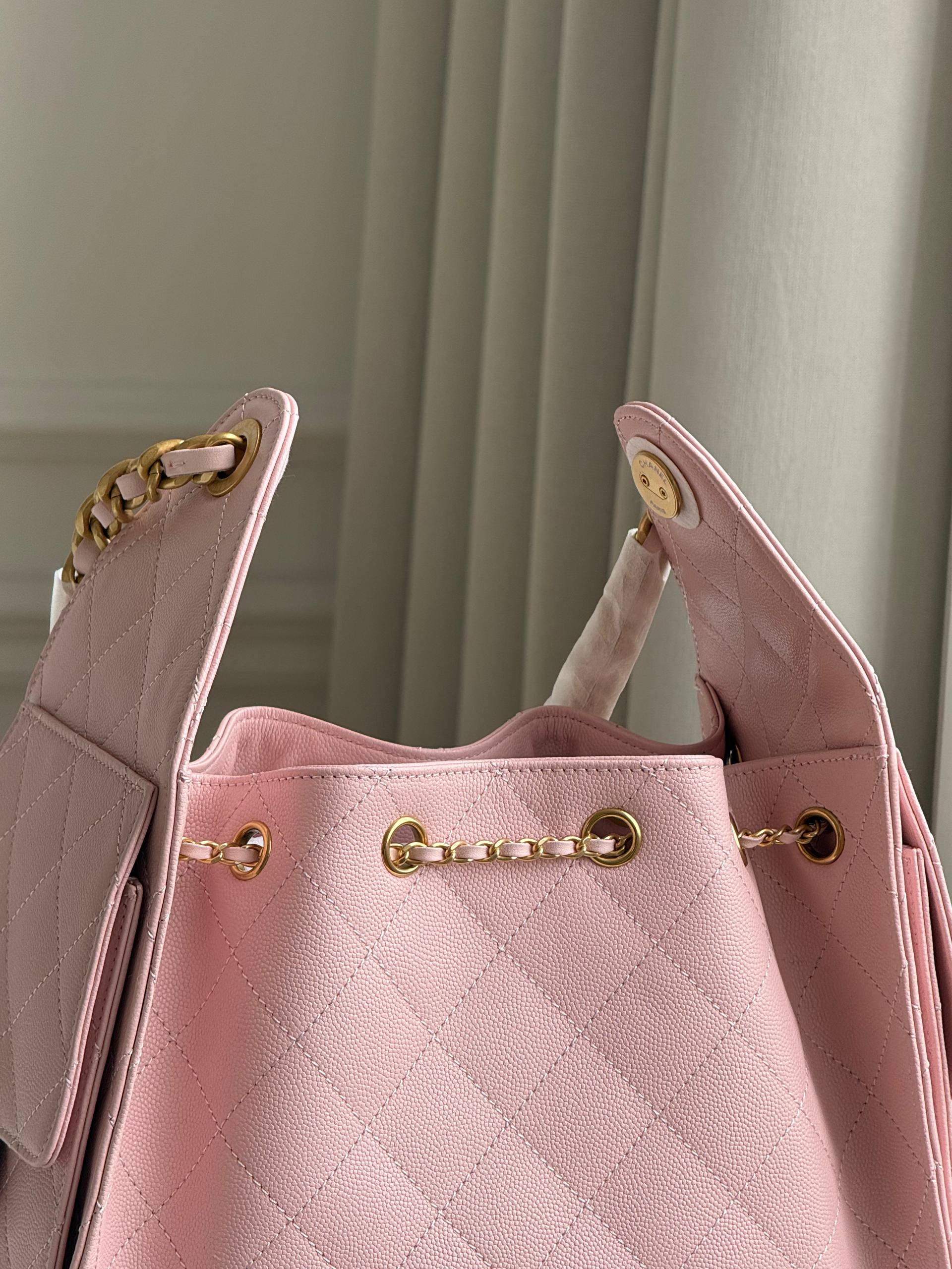 Chanel 25 Hobo