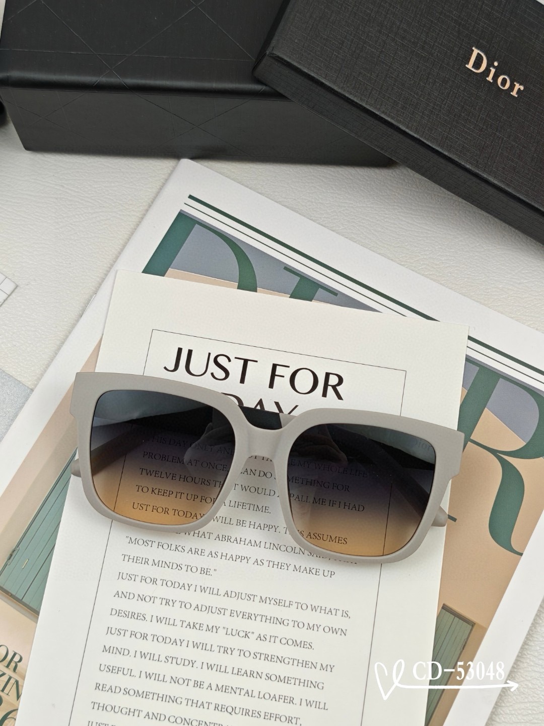 Dior Polaroid resin polarized Sunglasses