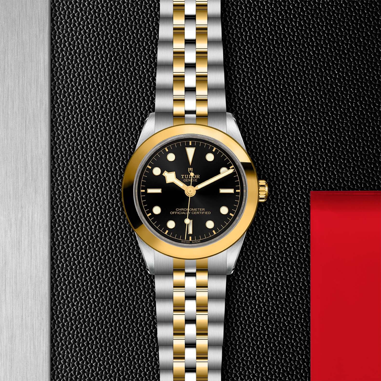Tudor Black Bay 39 S&G【1:1 Replica】