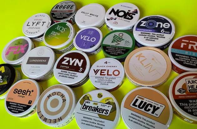 What Are Nicotine Pouches?