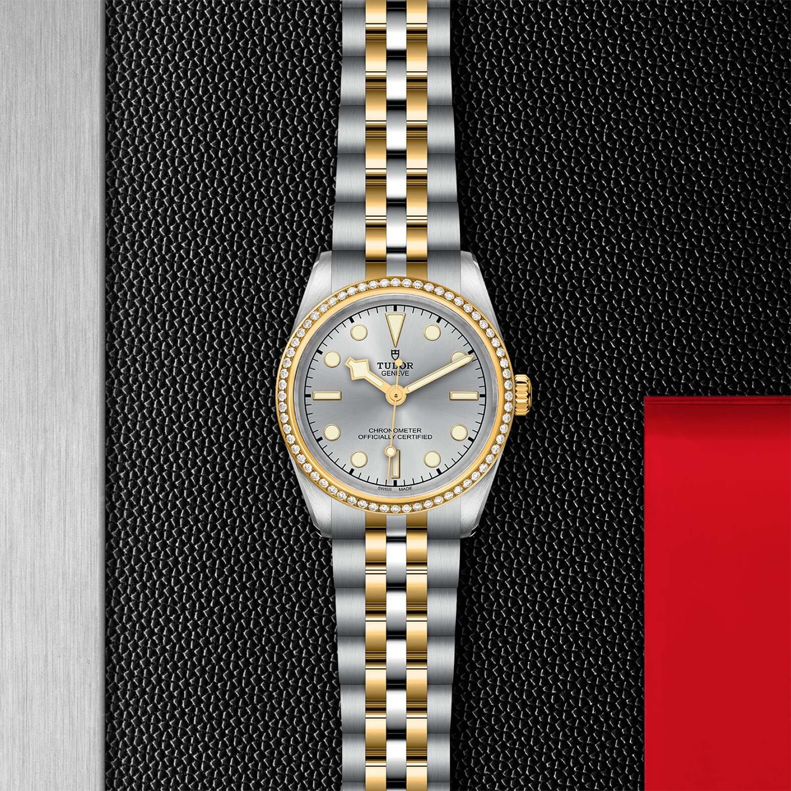 Tudor Black Bay 31 S&G【1:1 Replica】