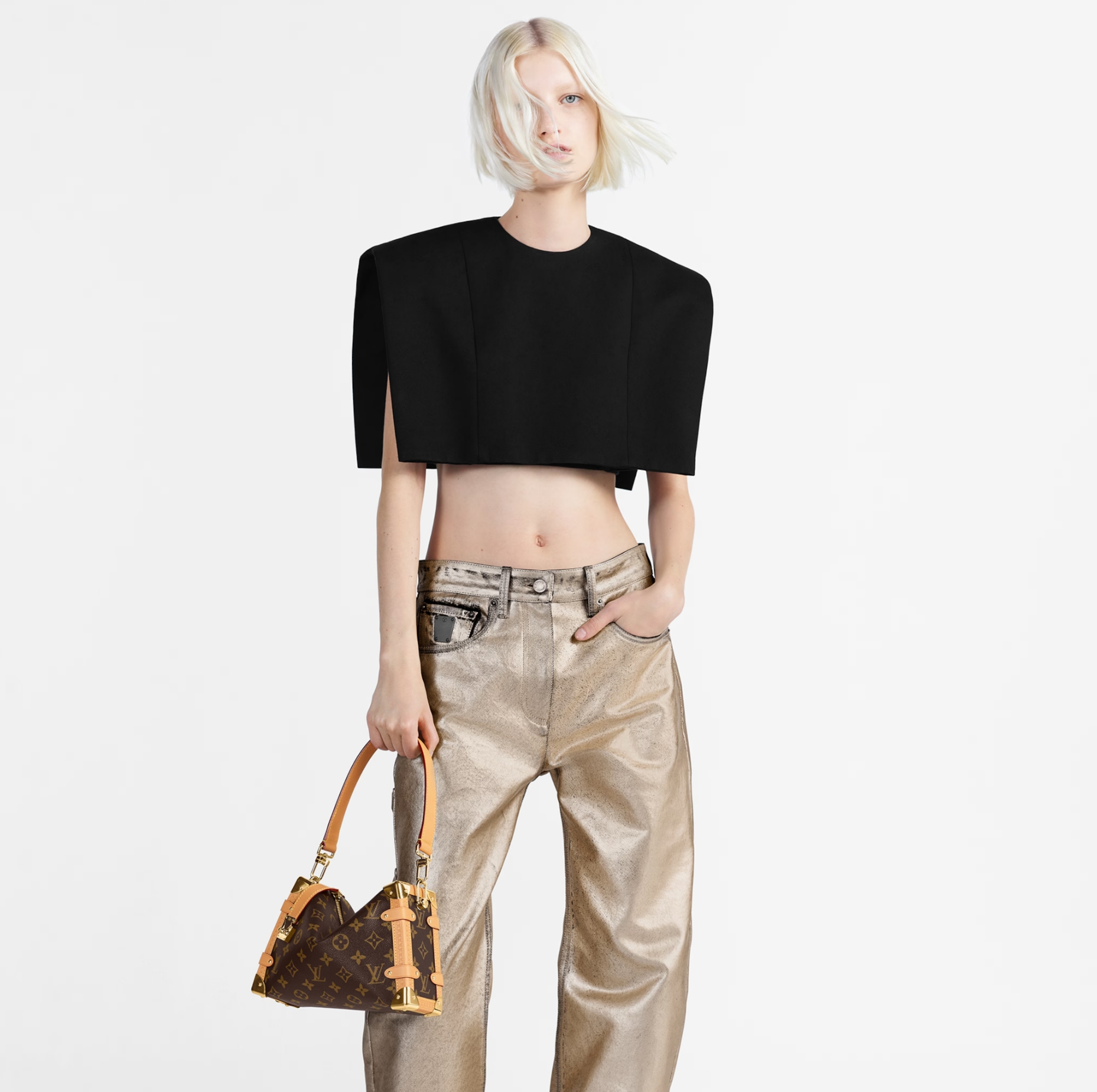 Louis Vuitton M46358 Side Trunk