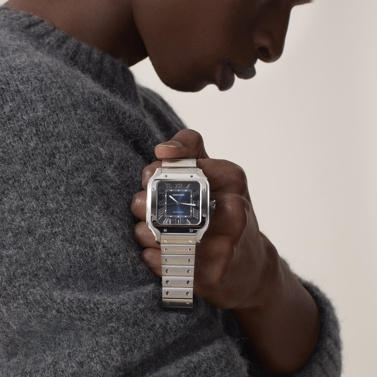 SANTOS DE CARTIER WATCH WSSA0030【1:1 Replica】