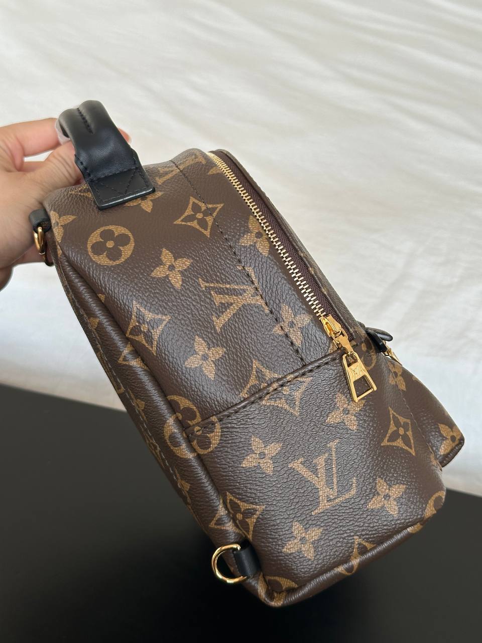 Louis Vuitton Monogram Mini Palm Springs Backpack
