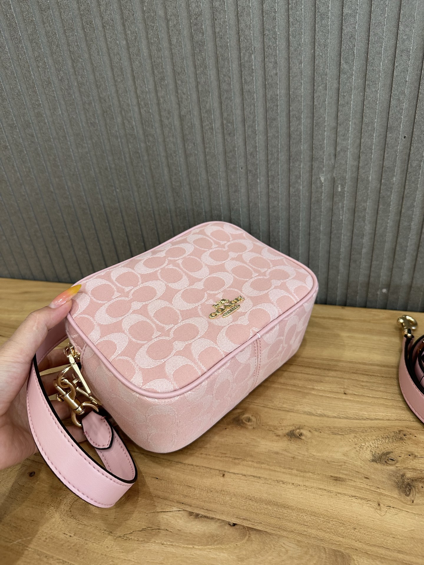 Women Handbag CEN19 Mini Carey Crossbody Camera Bag