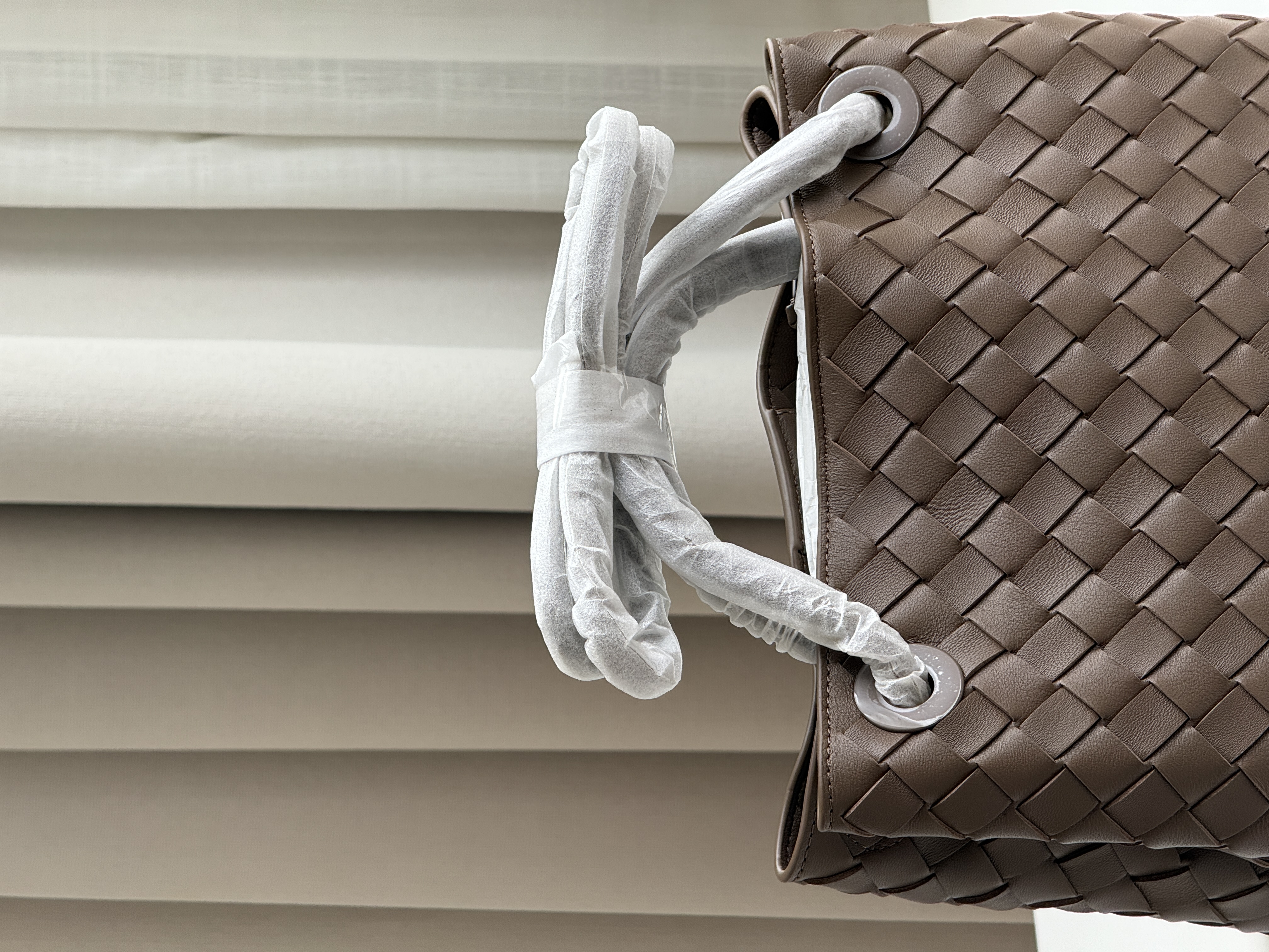 Bottega Veneta Small Andiamo Tote
