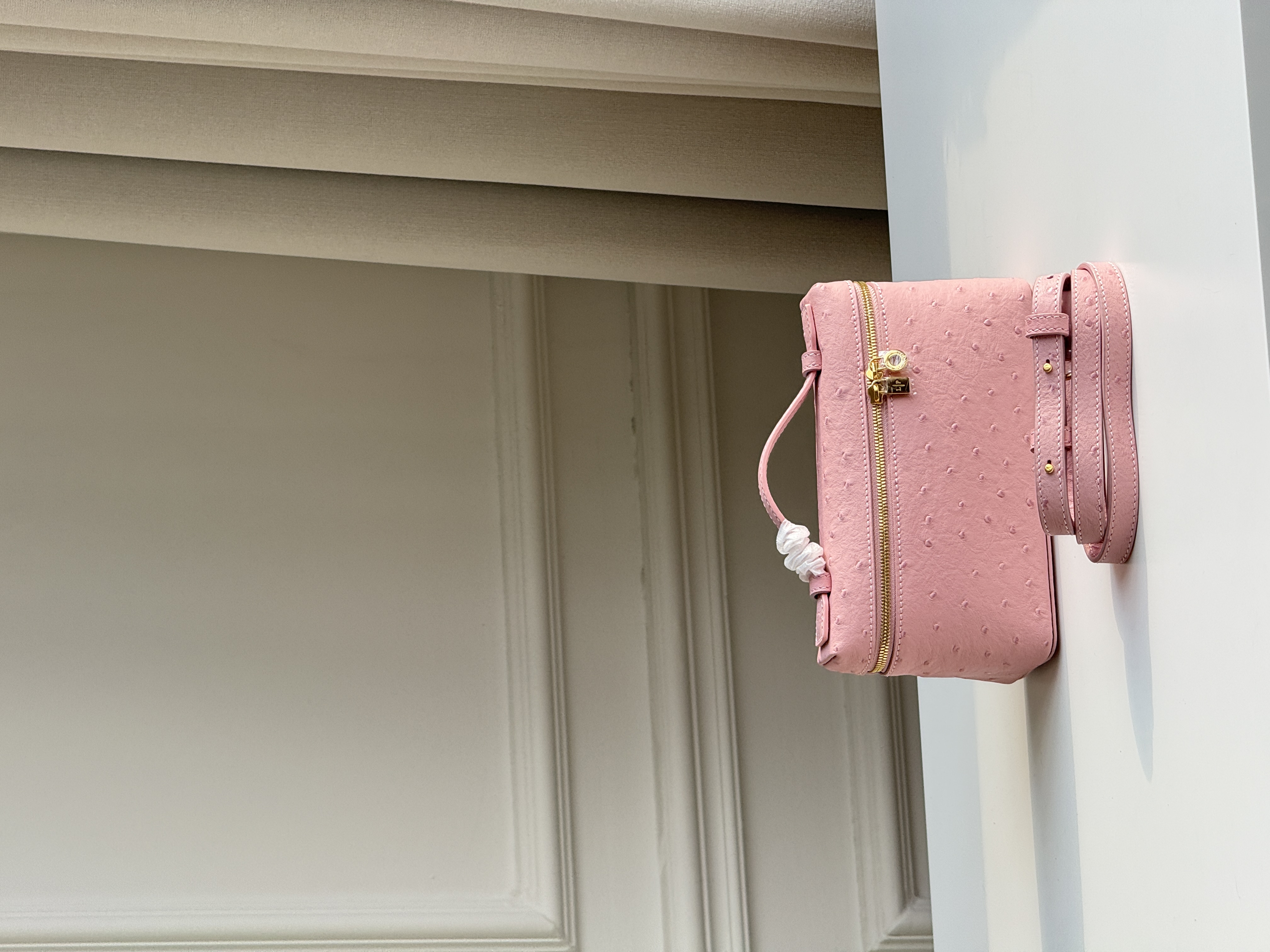 Loro Piana Extra Pocket L19 Sakura Pink Ostrich Skin Lunch Box Bag