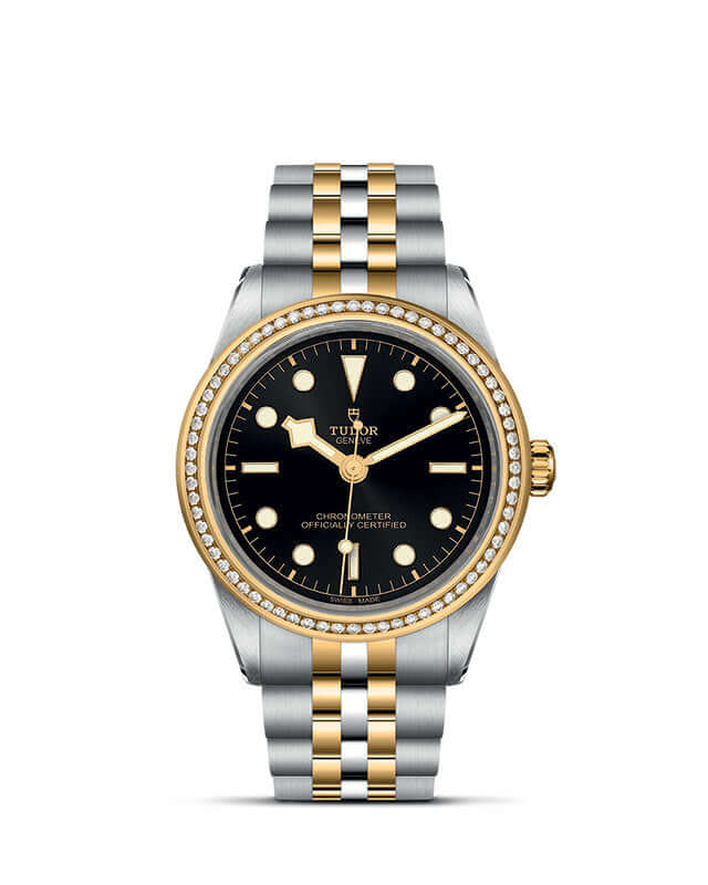 Tudor Black Bay 39 S&G【1:1 Replica】