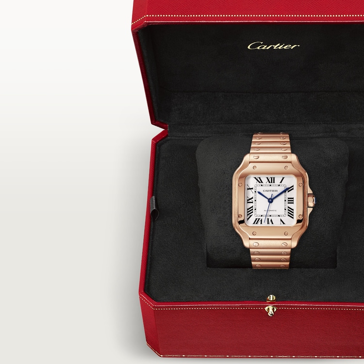 SANTOS DE CARTIER WATCH WGSA0031【1:1 Replica】