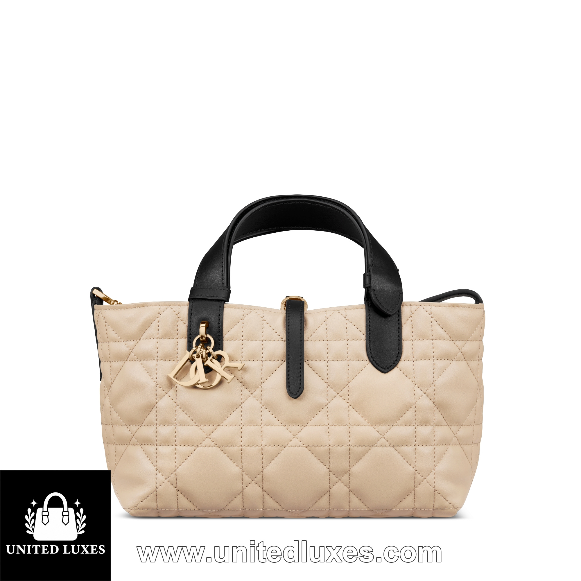 Replica Small Dior Toujours Bag