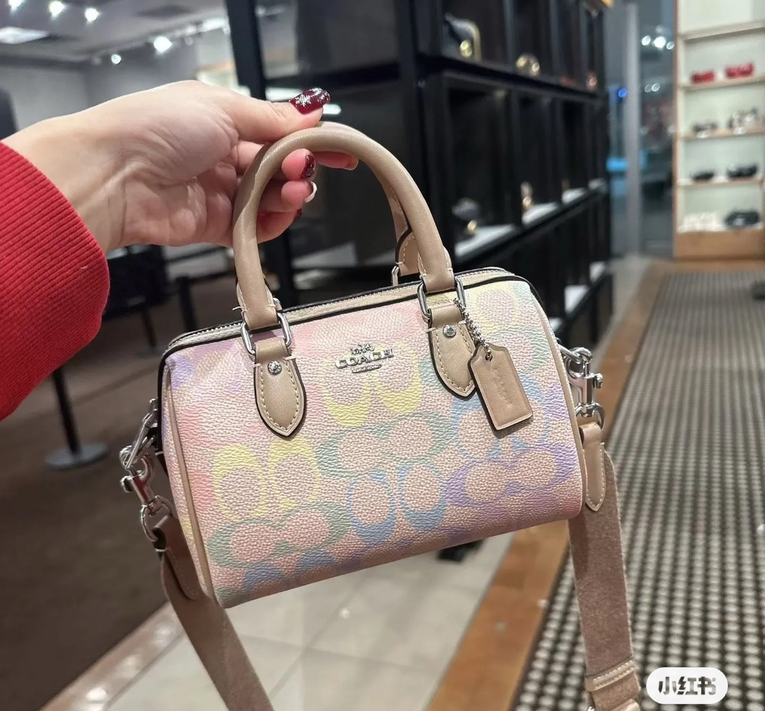 Women Handbag CDB21 CEA18 CDA90 Rowan Satchel Bag In Rainbow Signature Canvas