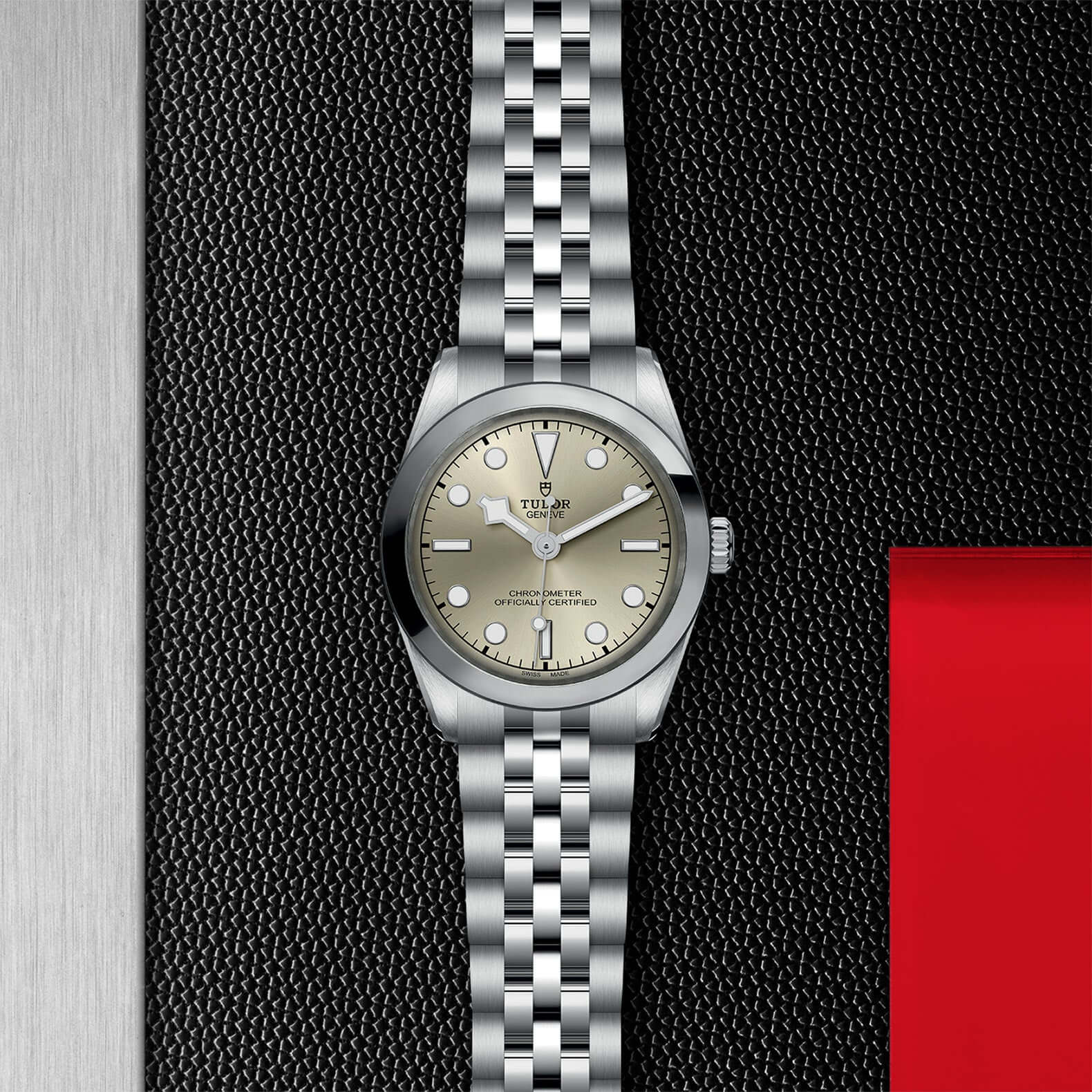 Tudor Black Bay 31【1:1 Replica】