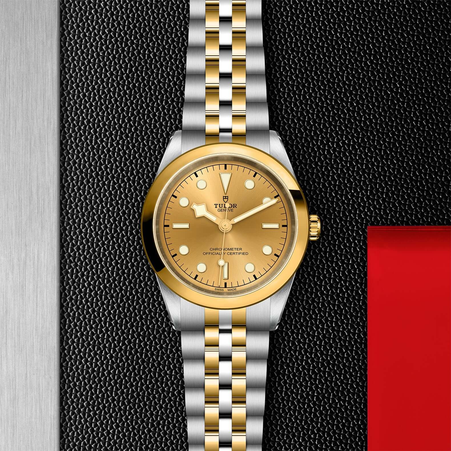 Tudor Black Bay 41 S&G【1:1 Replica】