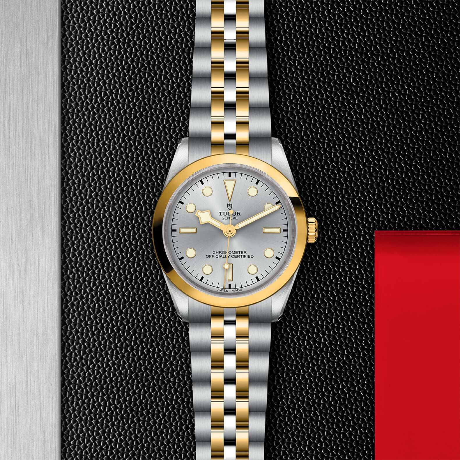 Tudor Black Bay 36 S&G【1:1 Replica】
