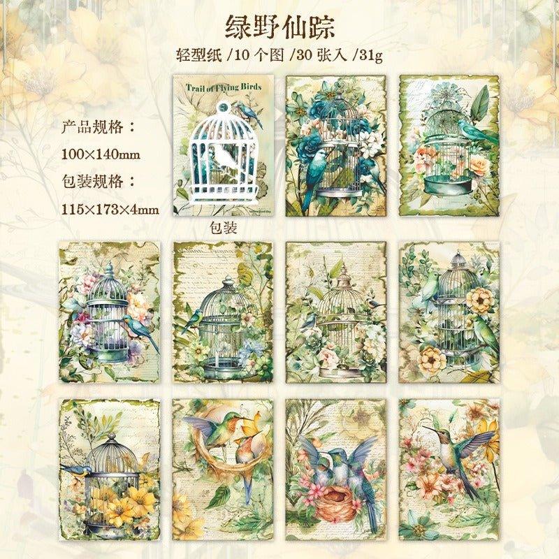 2117 Material Paper Birds of Prey Collection