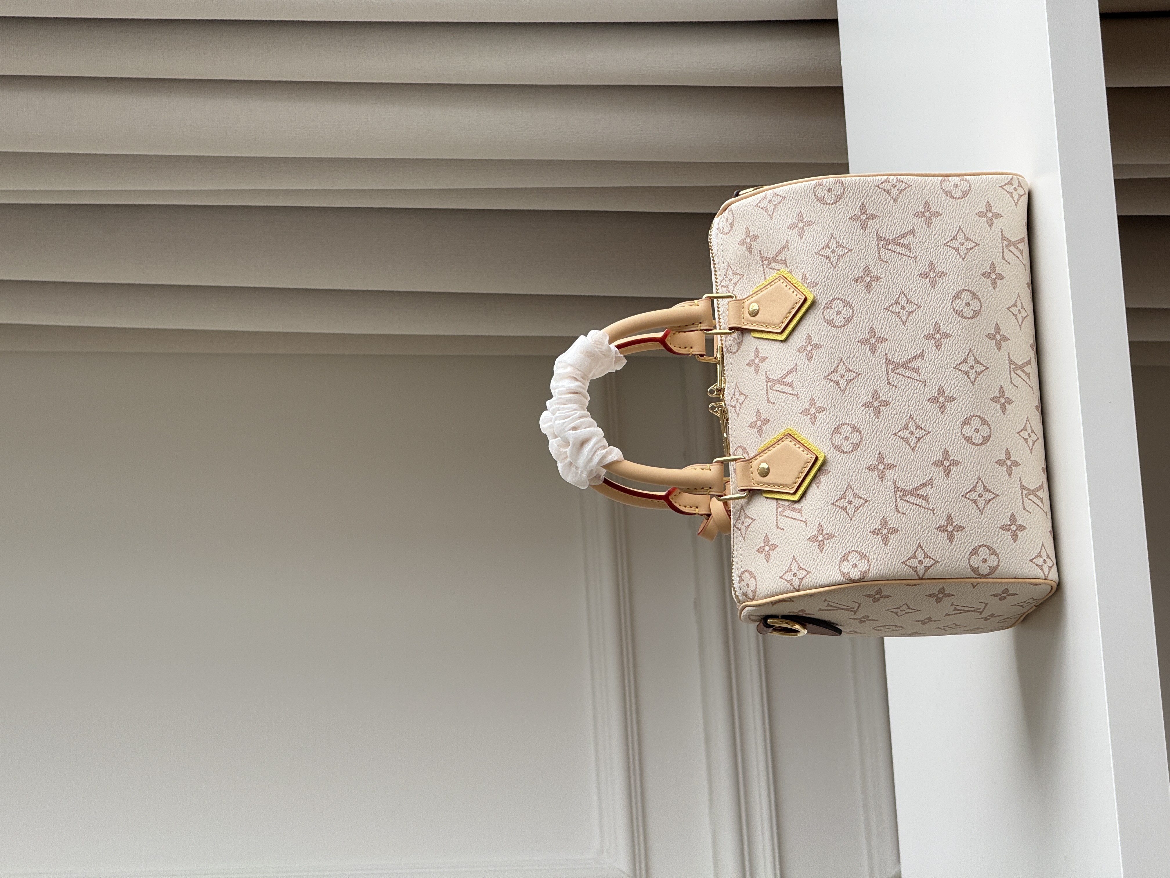 Louis Vuitton Speedy 25 Dune Monogram Pillow Bag