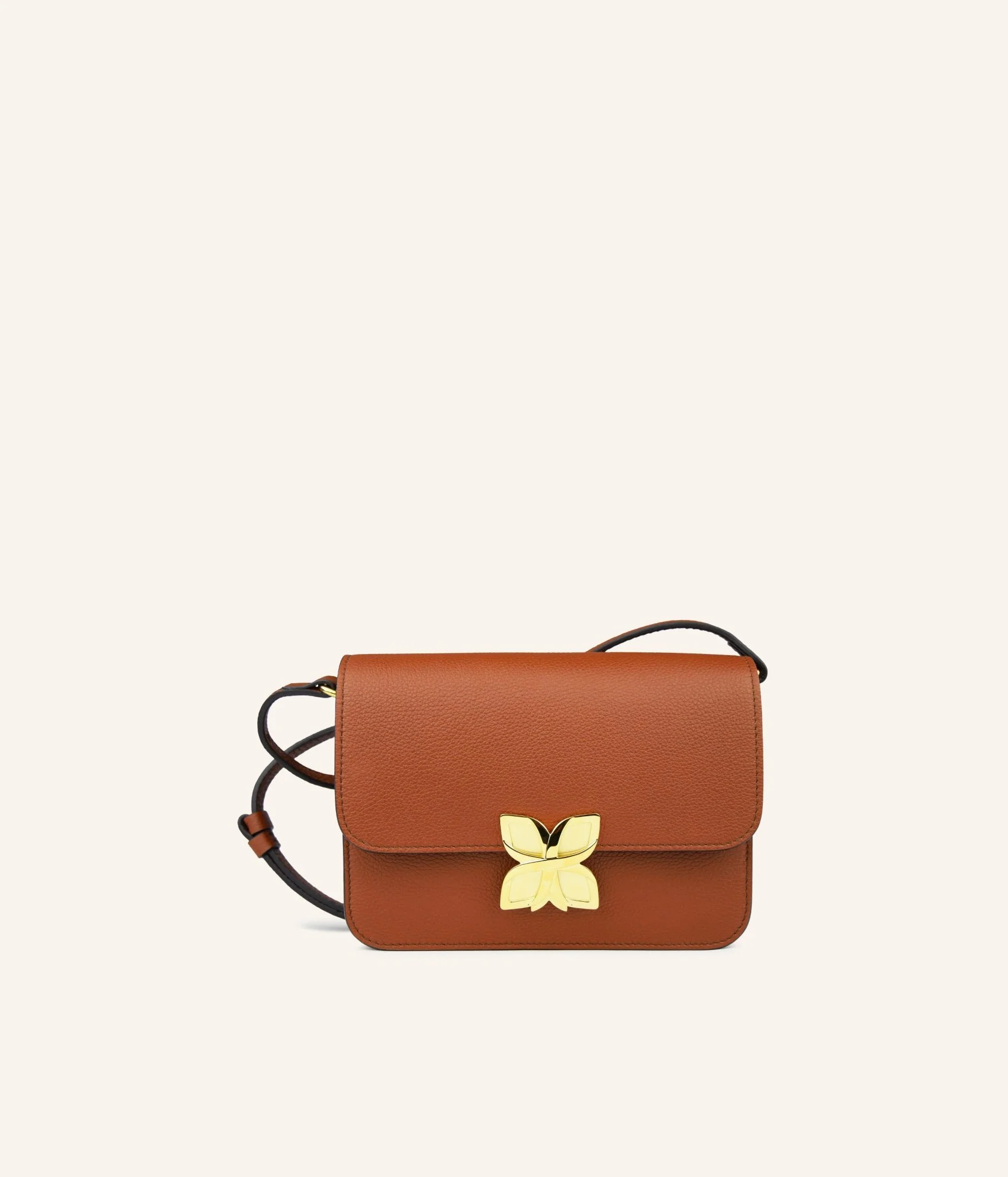Mini Hortensia | Marron
