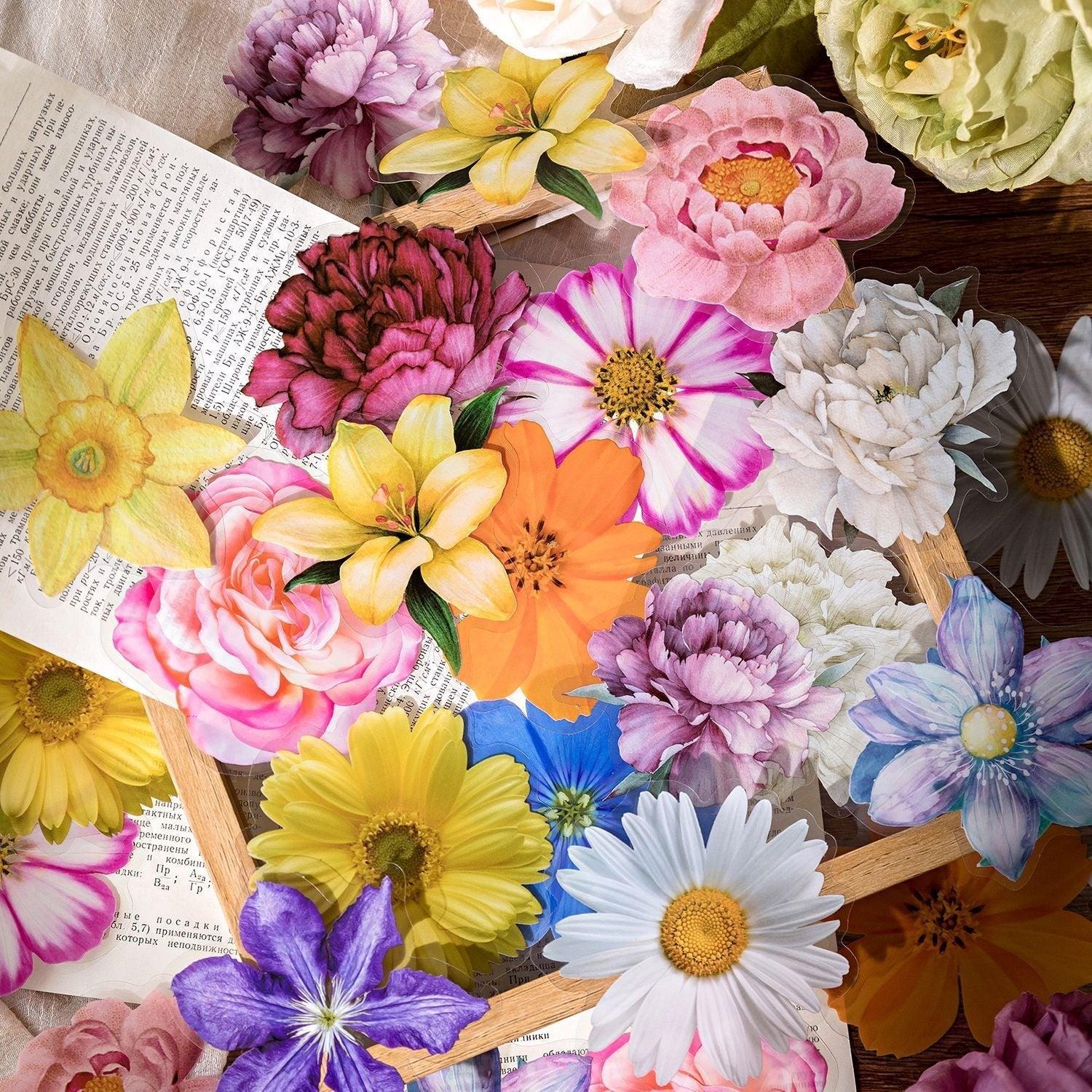 1142 Clear Sticker Pack Nature's Secret Collection