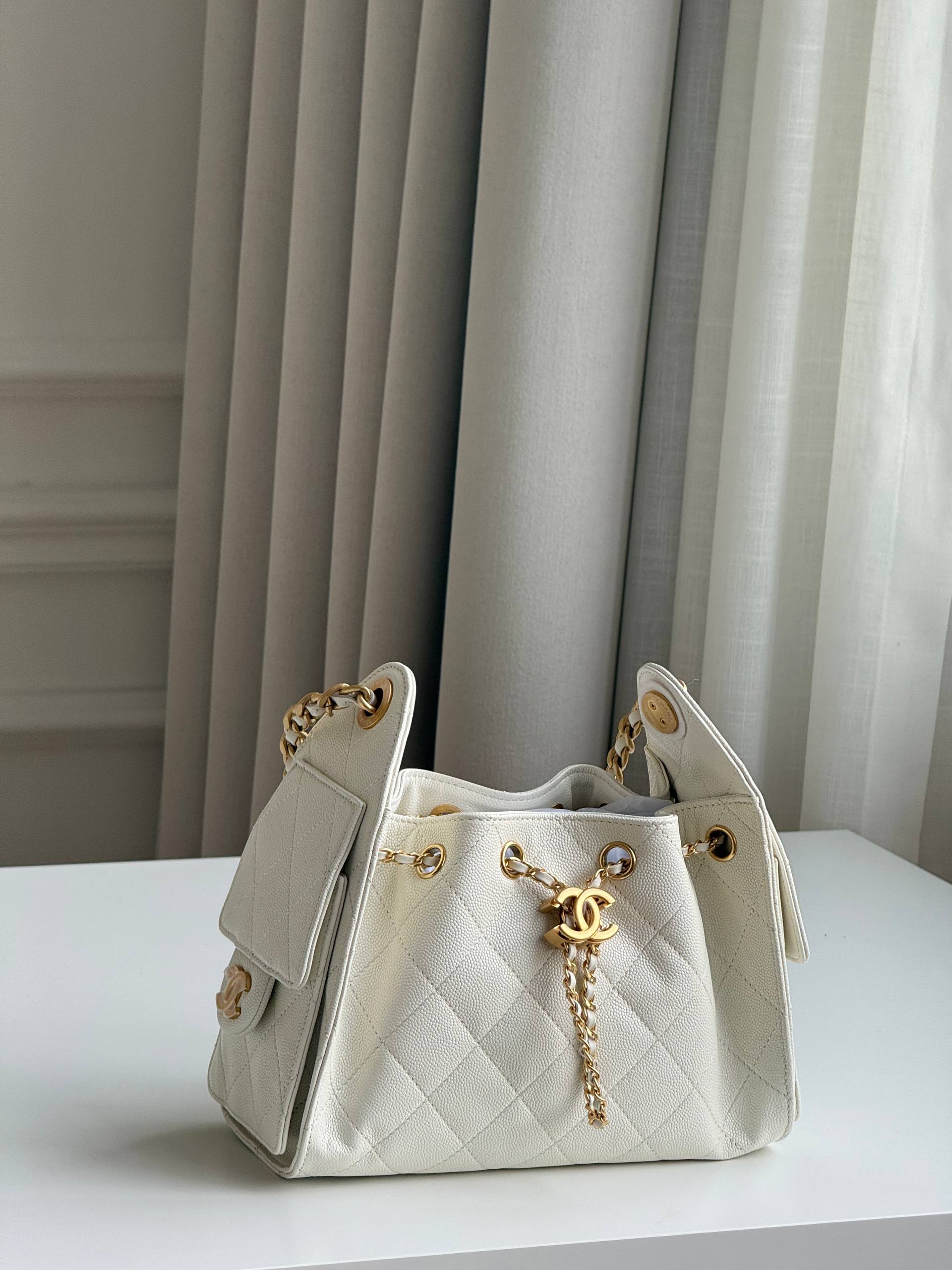 Chanel 25 Hobo Bag