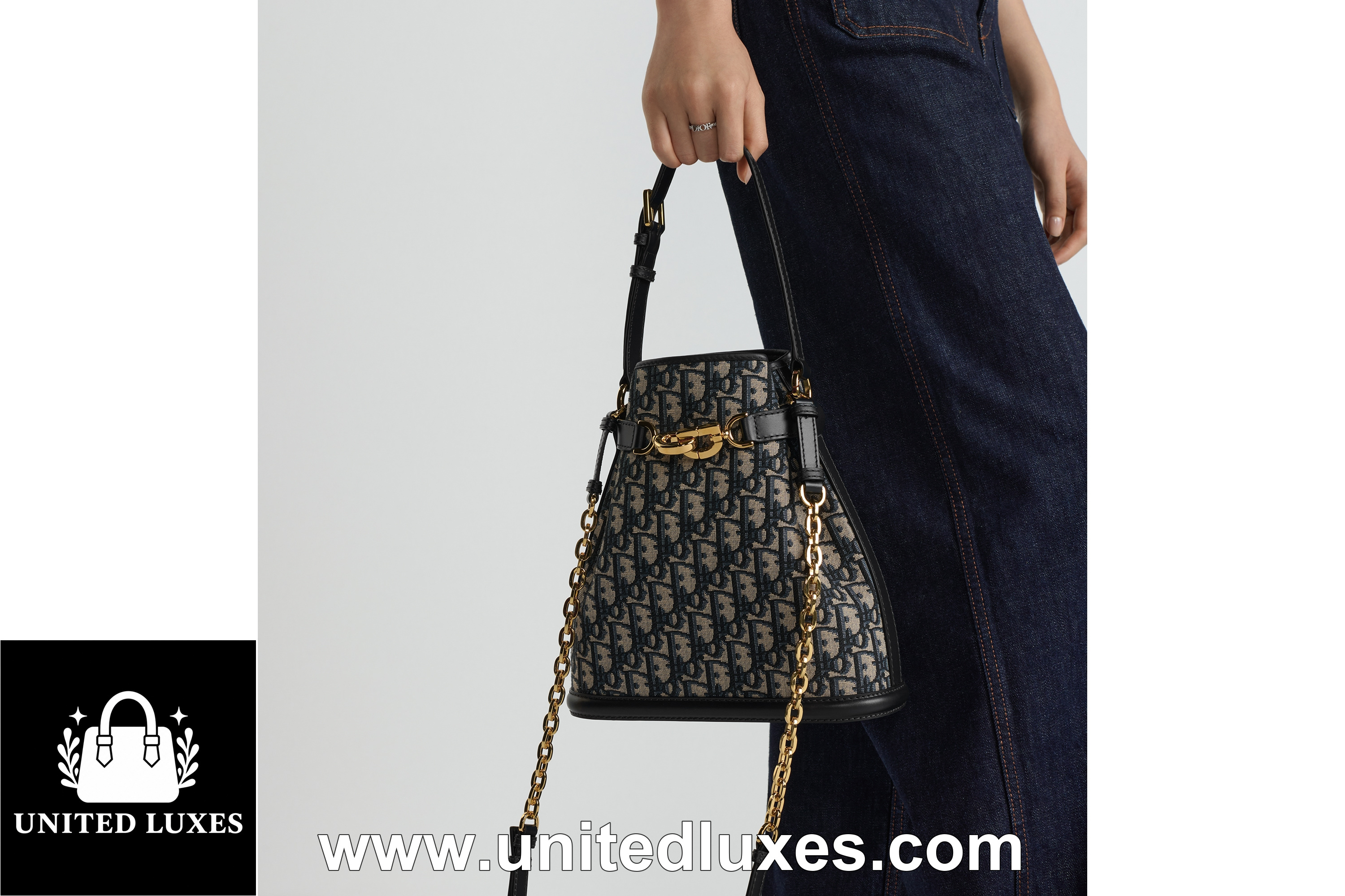 Replica Medium C'est Dior Bag