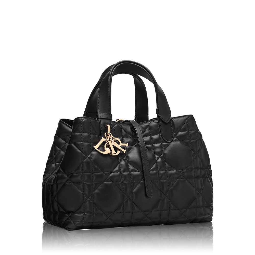 Dior Toujours Bag