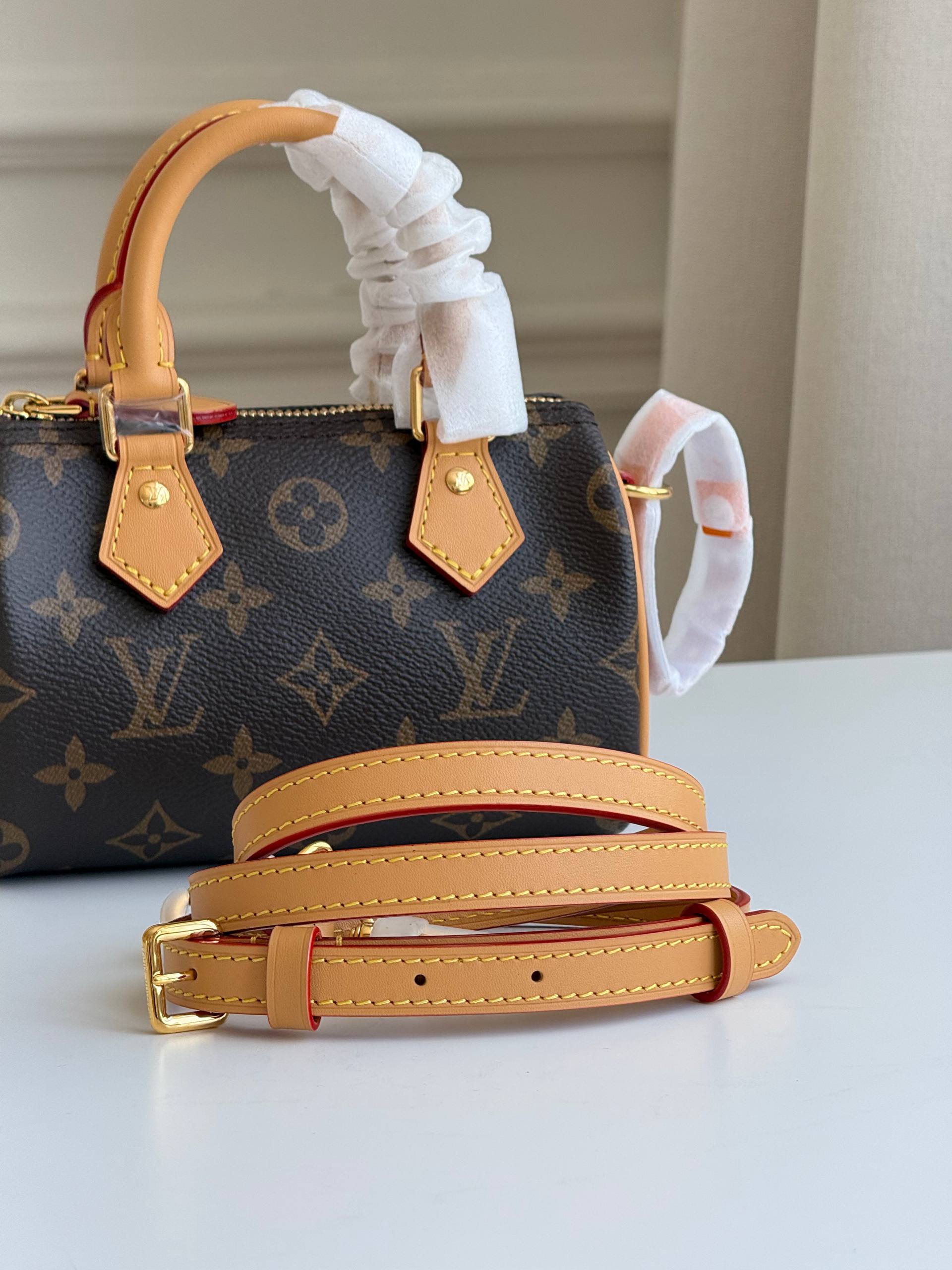 Louis Vuitton Speedy Nano