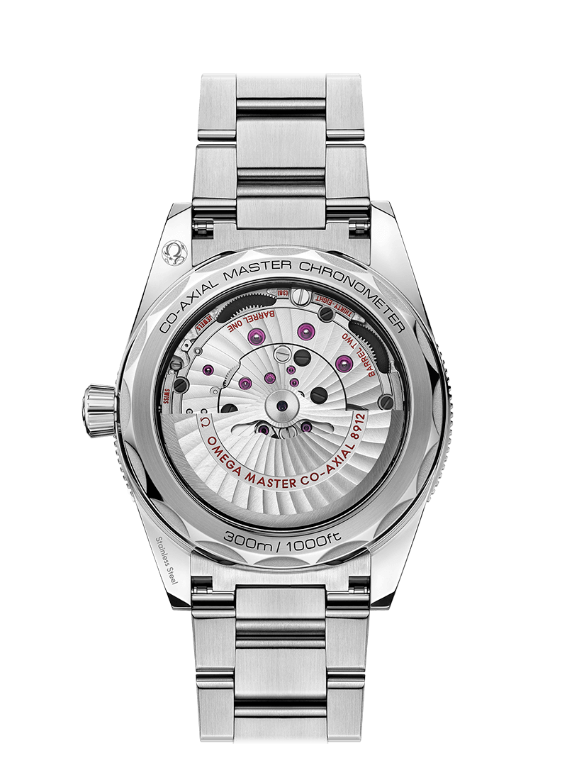OMEGA SEAMASTER 300 CO‑AXIAL MASTER CHRONOMETER 41 MM 234.30.41.21.01.001