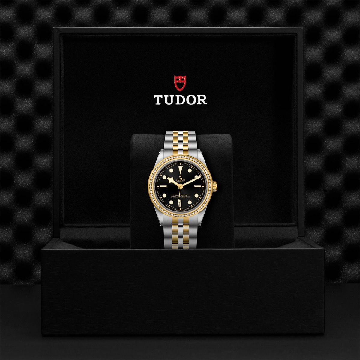 TUDOR Black Bay 39 S&G Steel and Yellow Gold【1:1 Replica】
