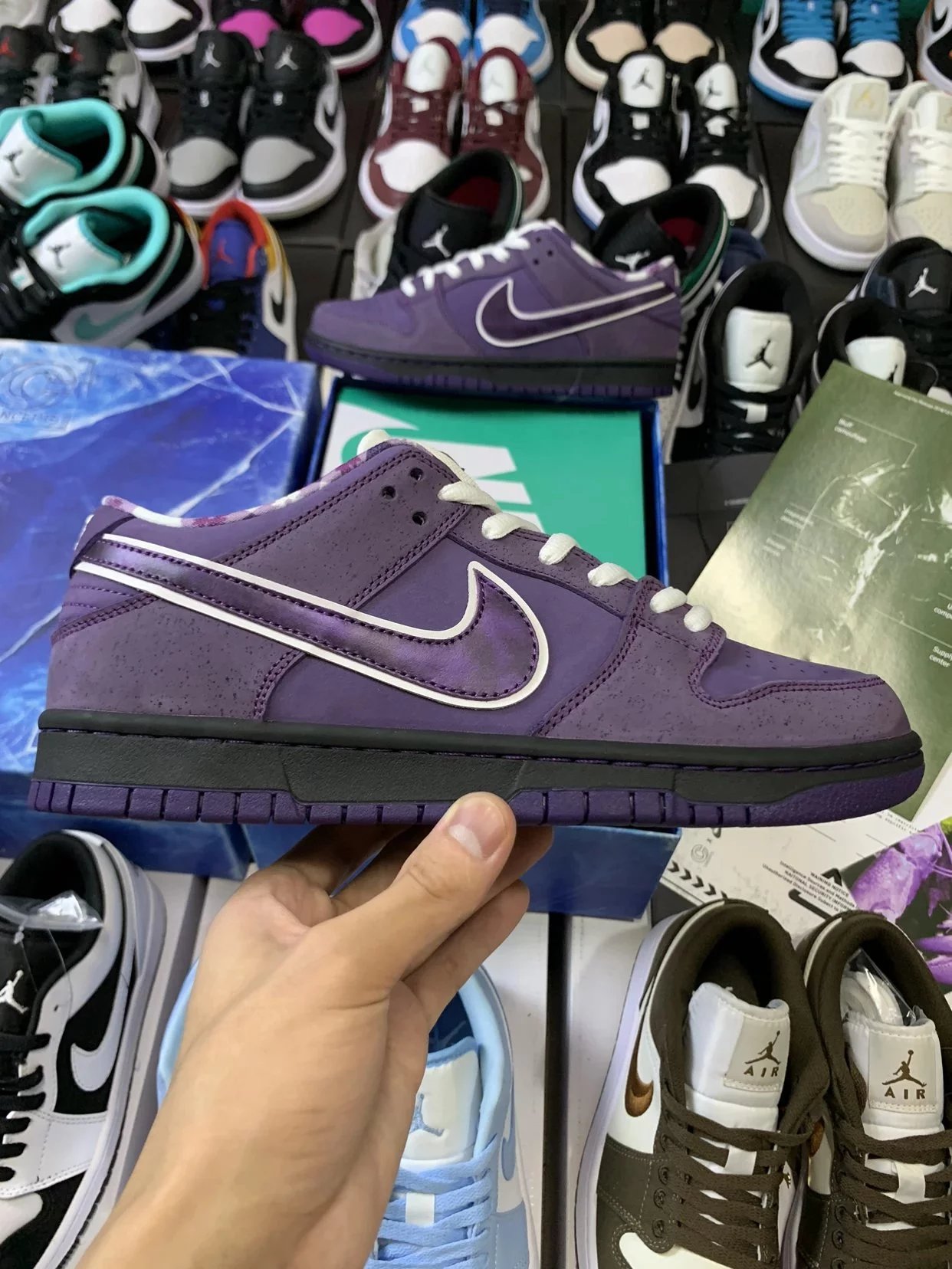 Concepts Nike SB Dunk Low Purple