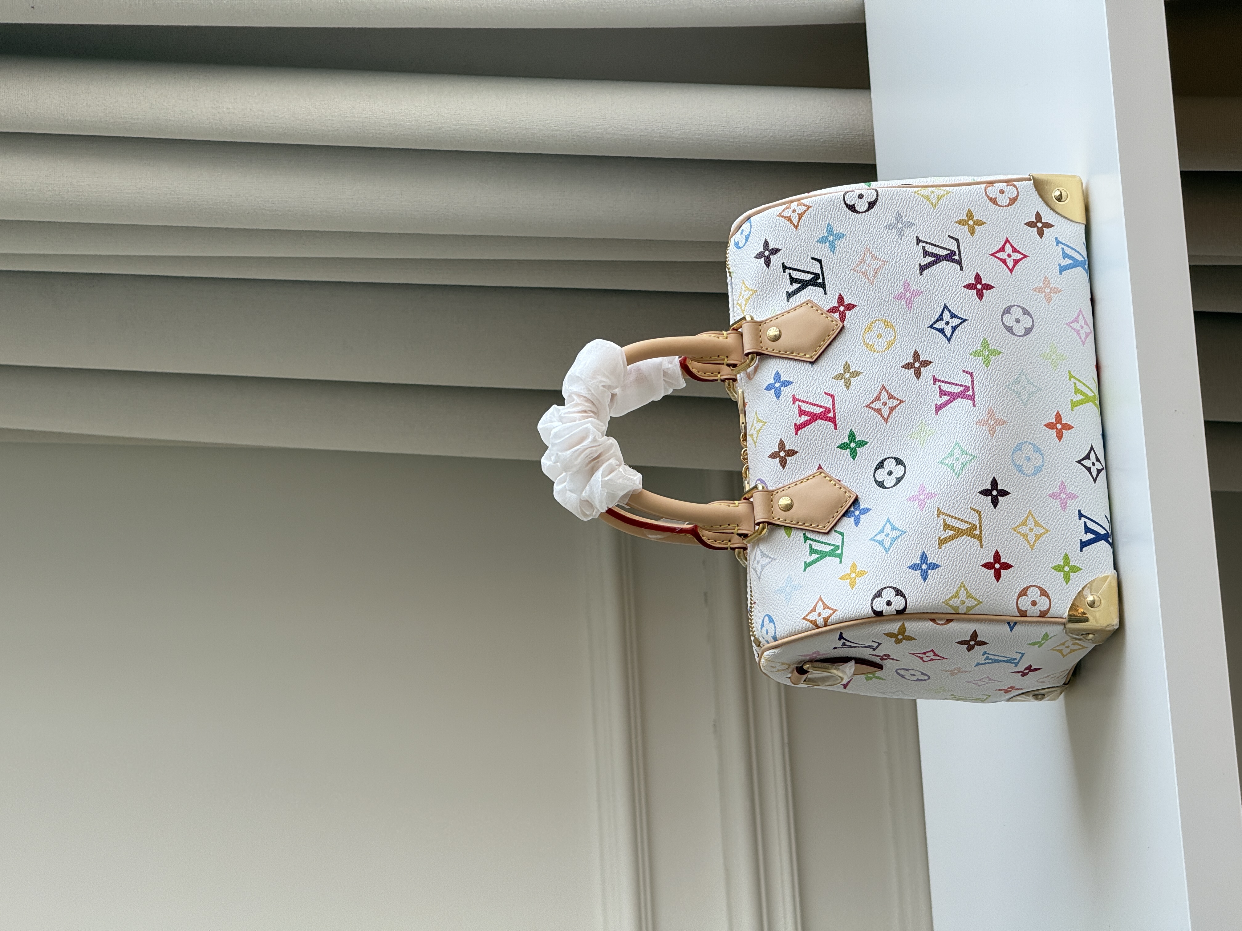 Louis Vuitton Speedy Bandoulière 25