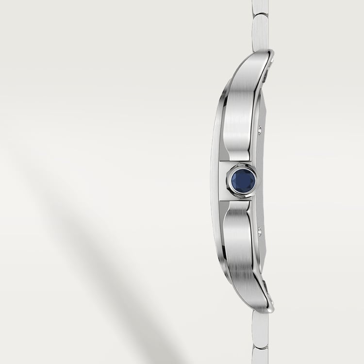 SANTOS DE CARTIER WATCH WSSA0030【1:1 Replica】