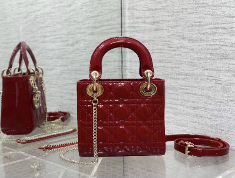 DIOR BOOK TOTE