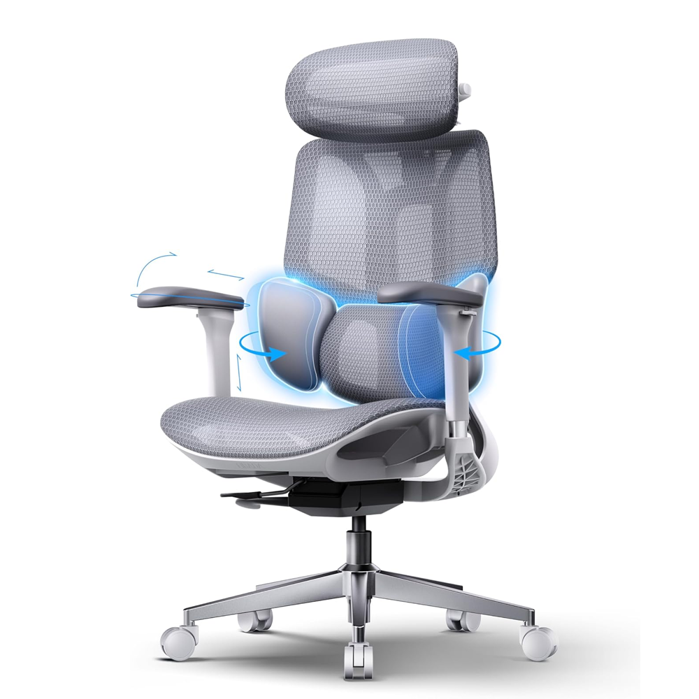 Ergonomic Chair