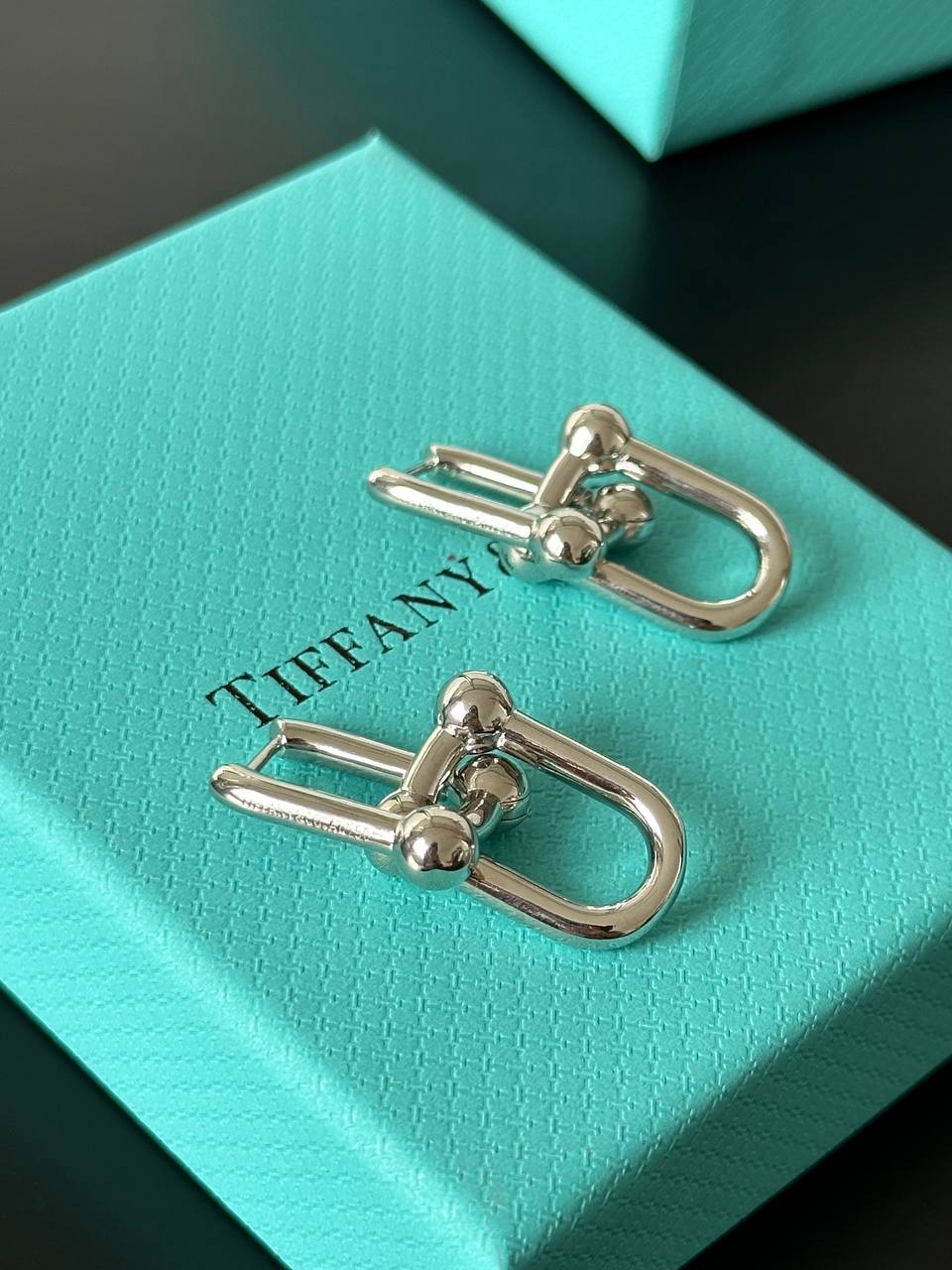 Tiffany & Co. HardWear Link Earrings in Sterling Silver