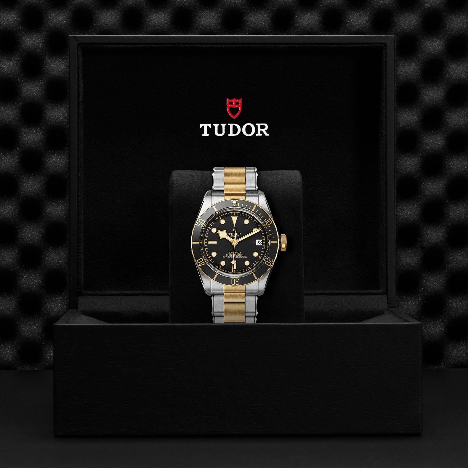 TUDOR Black Bay S&G 41mm Steel and Gold【1:1 Replica】