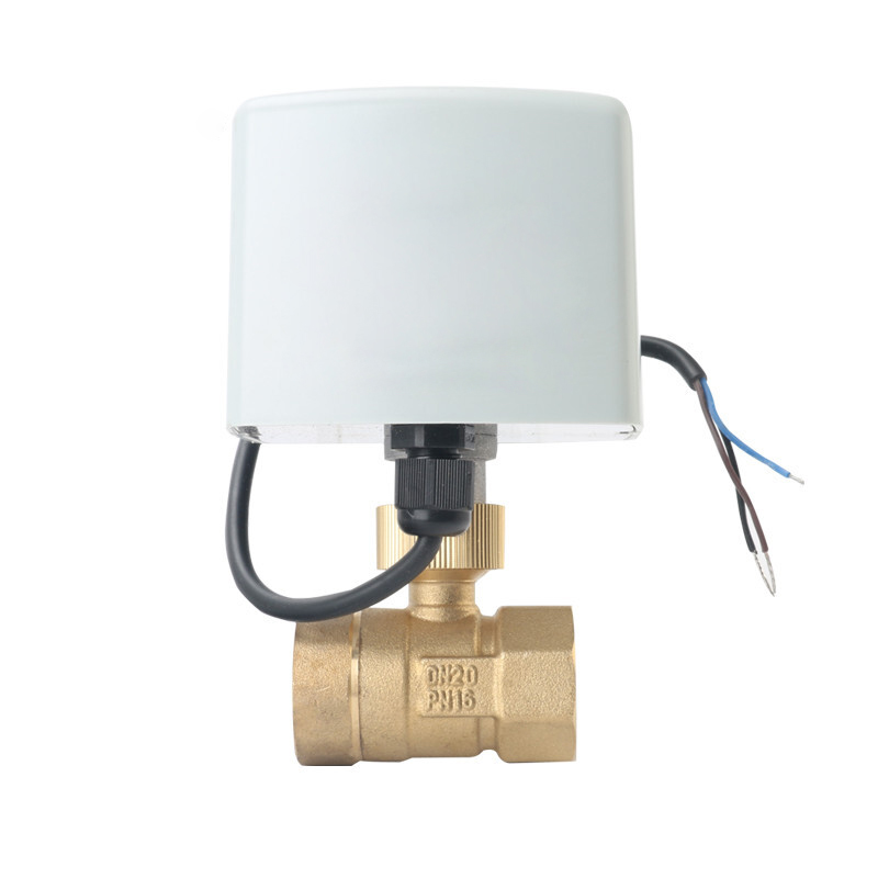 Motorized Ball Valve 3 Wire 2 Control 220V 12V 24V - 2-Way Brass Electric Ball Valve Big Torque Metal Motor (DN15-DN50)