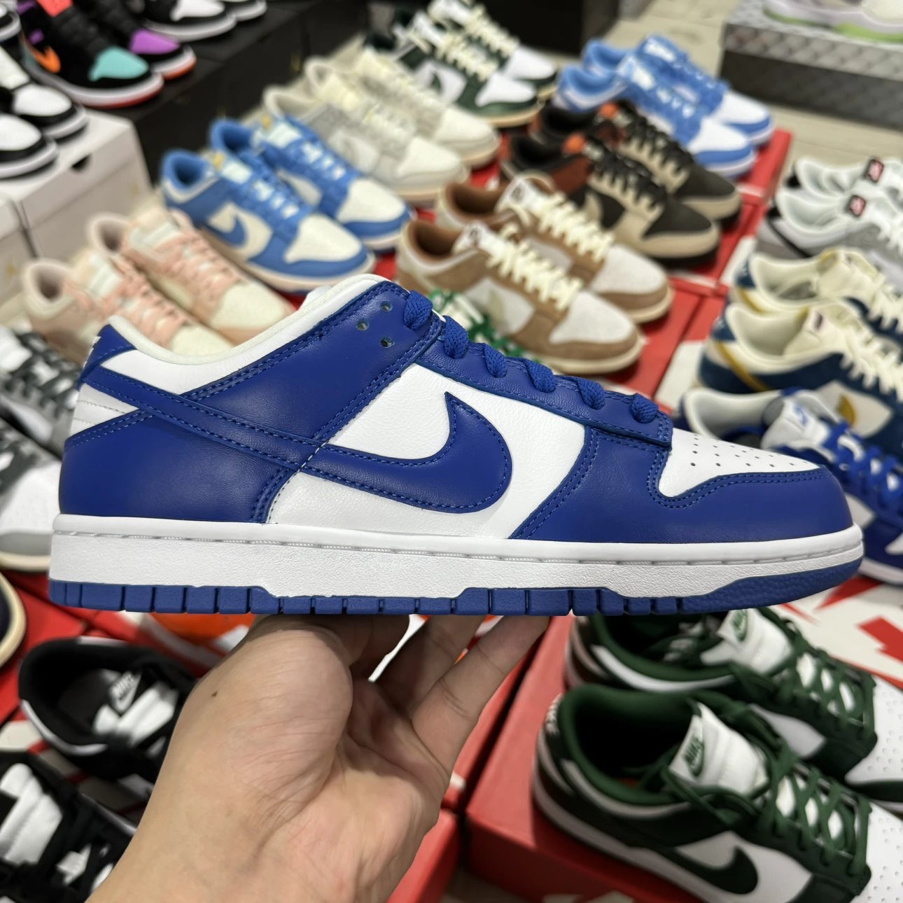 SB Dunk Low Navy & White Color