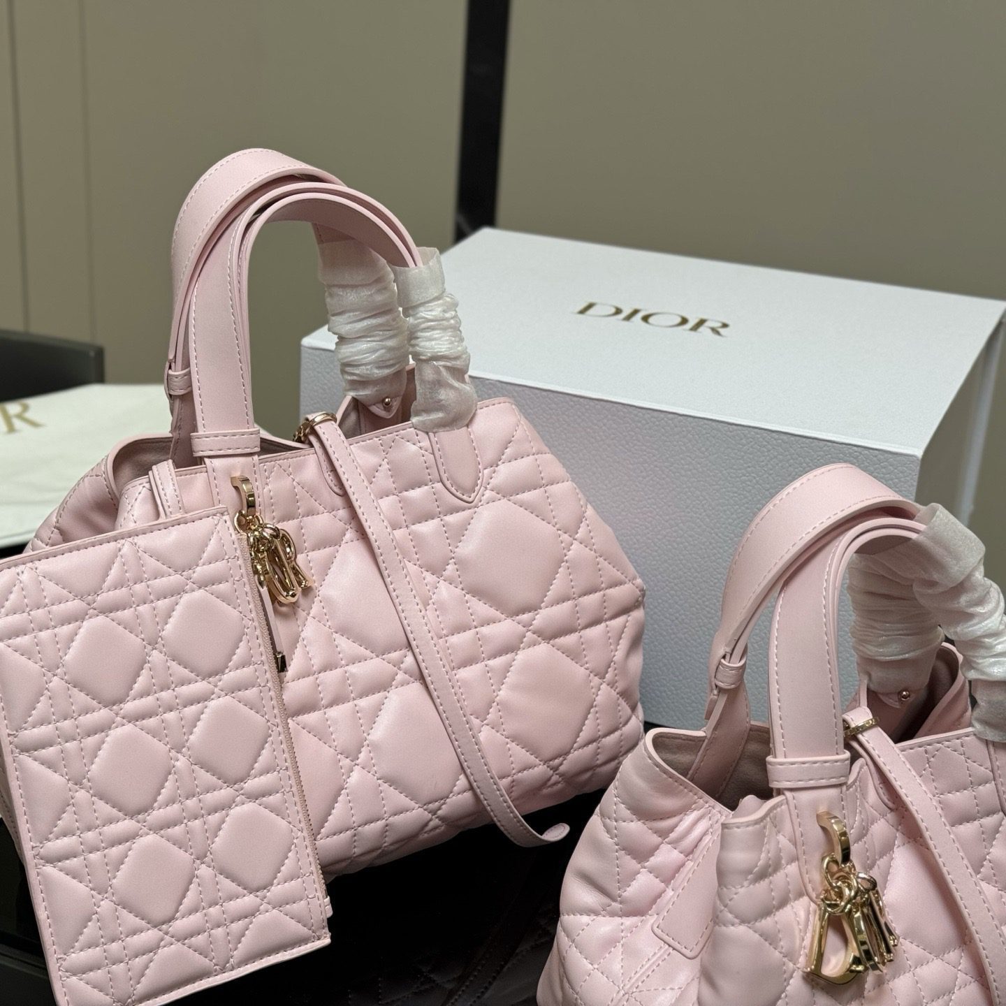 DIOR TOUJOURS BAG