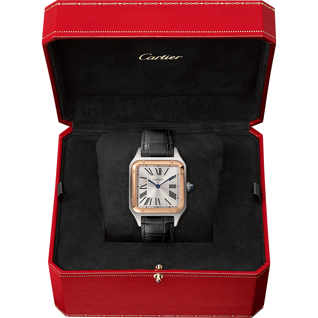 Santos-Dumont watch W2SA0011【1:1 Replica】