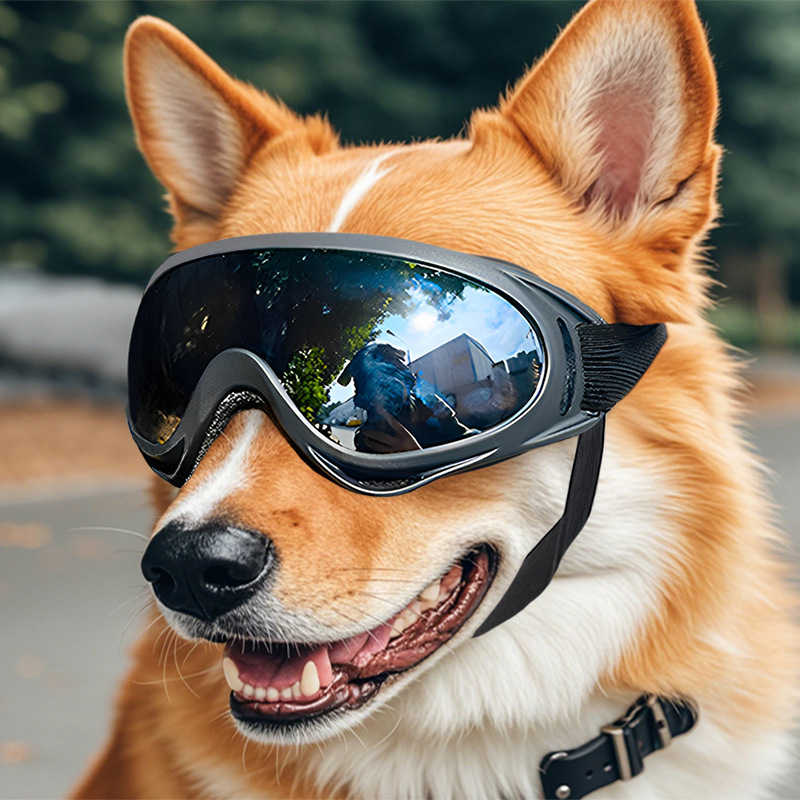 UV Protection Goggles Adjustable Strap Windproof Sunglasses for Dogs Cats - MAISONKAIRON