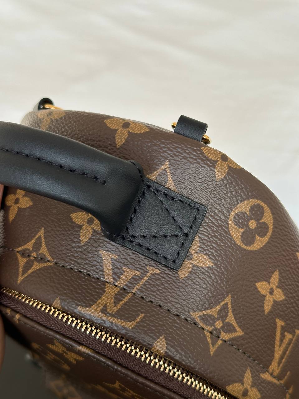 Louis Vuitton Monogram Mini Palm Springs Backpack