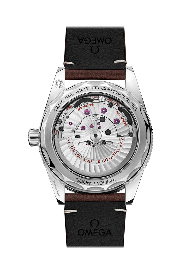 OMEGA SEAMASTER 300 CO‑AXIAL MASTER CHRONOMETER 41 MM 234.32.41.21.01.001