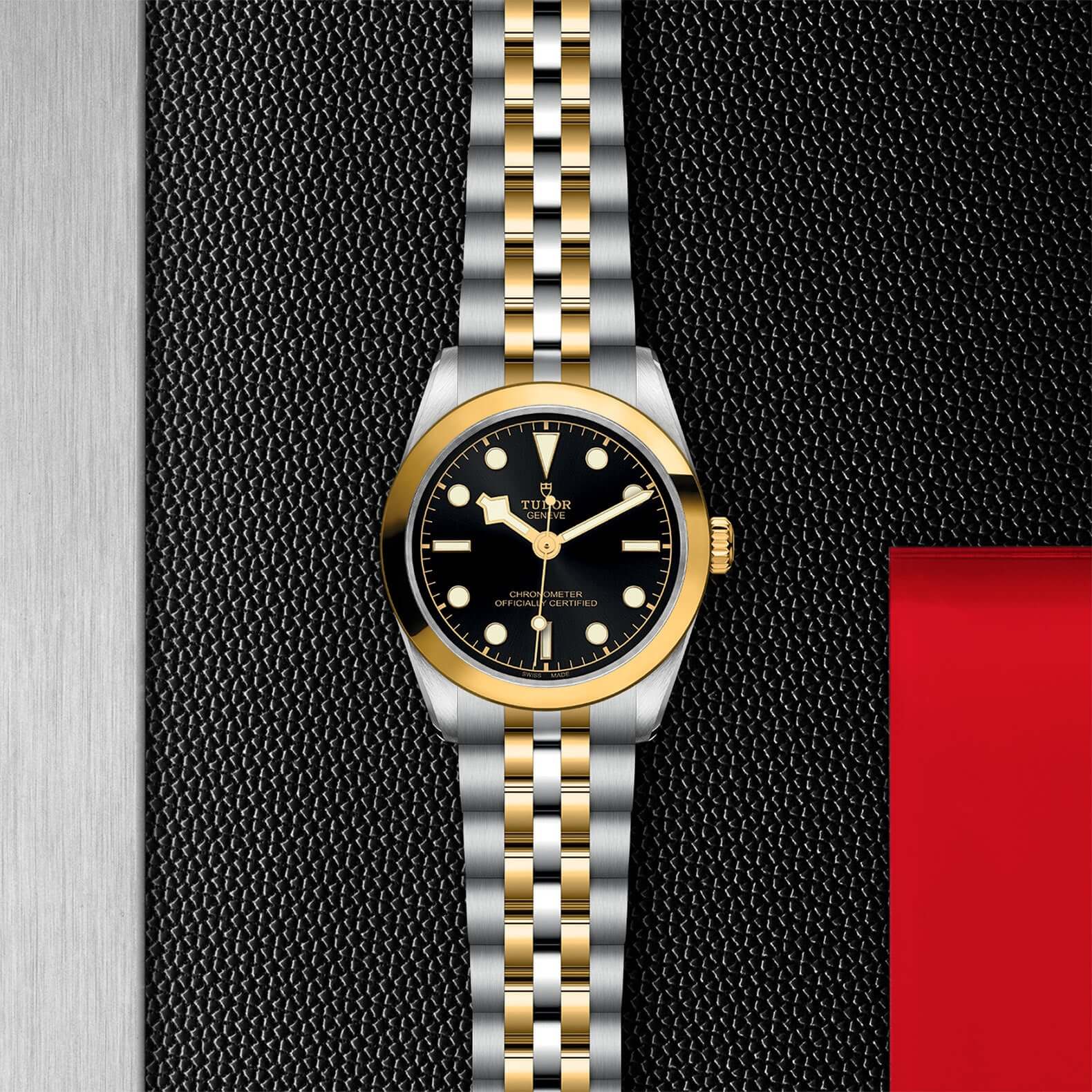 Tudor Black Bay 31 S&G【1:1 Replica】