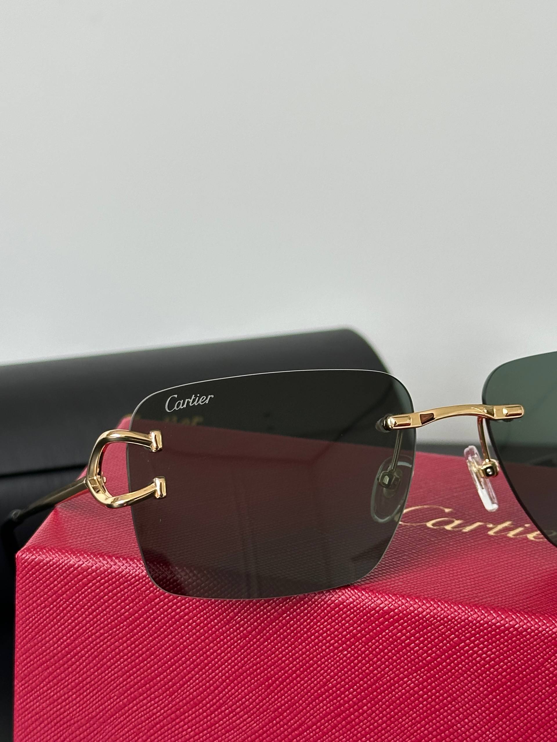 Cartier Panthère Rimless Rectangular Sunglasses