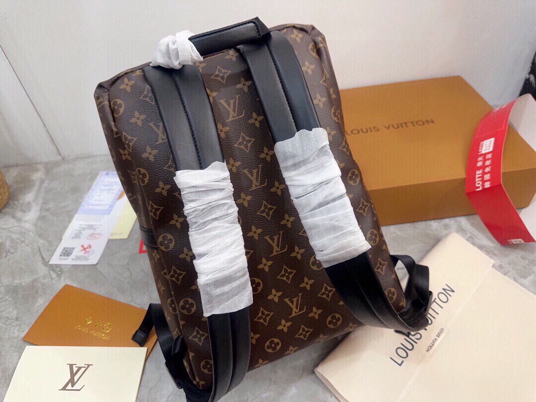 LV Discovery Monogram Brown Backpack