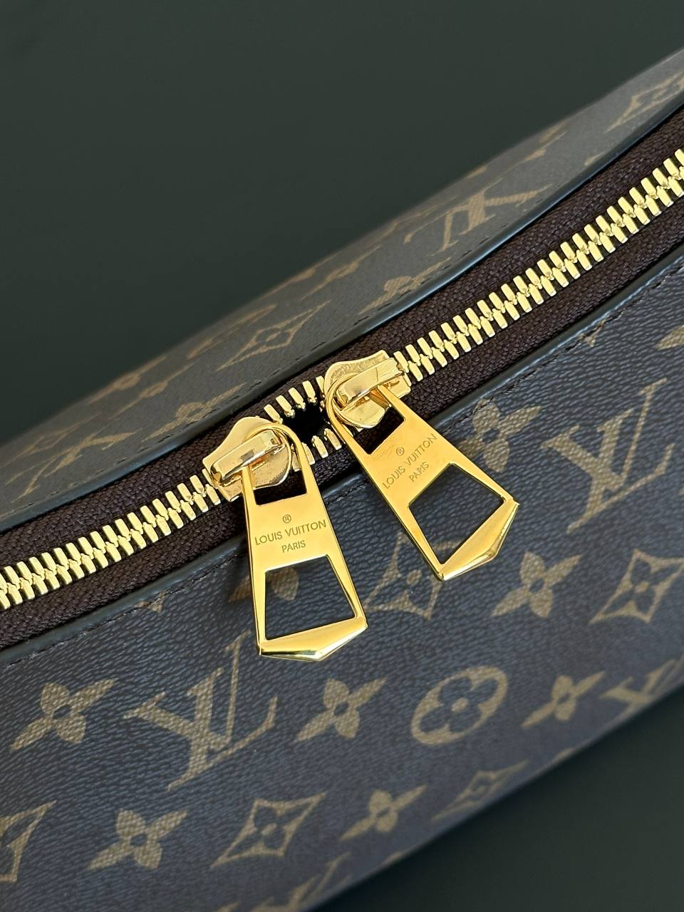 Louis Vuitton Monogram Canvas & Black Leather Double Zipper Hobo Crossbody Bag